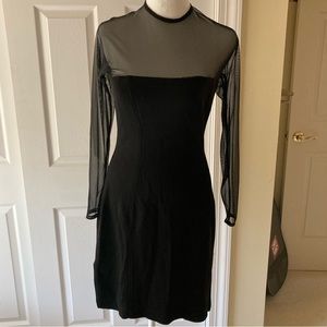 Super Cute  Lace Mesh Long Sleeve Dress